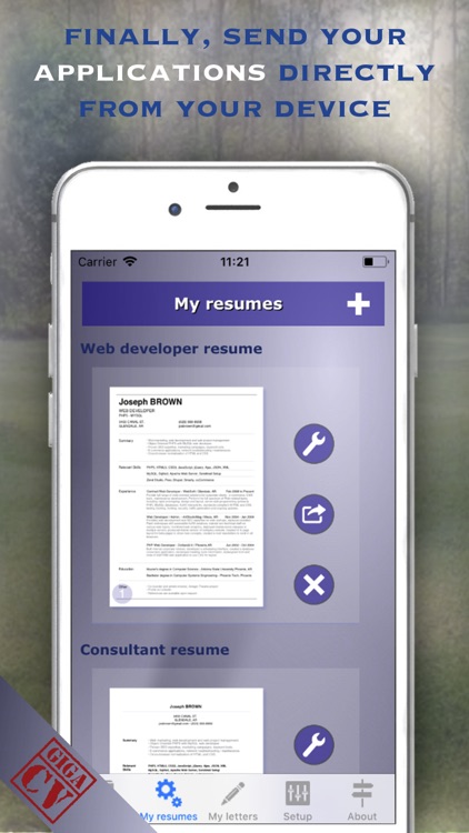 giga-cv Your resume screenshot-4