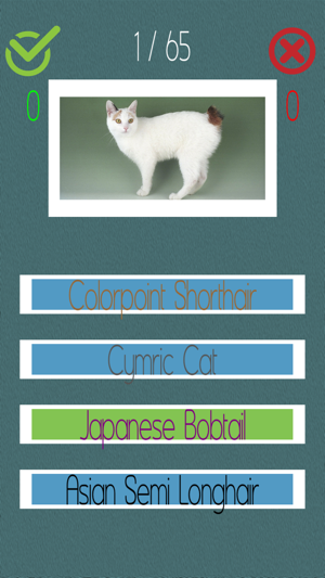 Cat Quiz (60+ Breeds)(圖6)-速報App