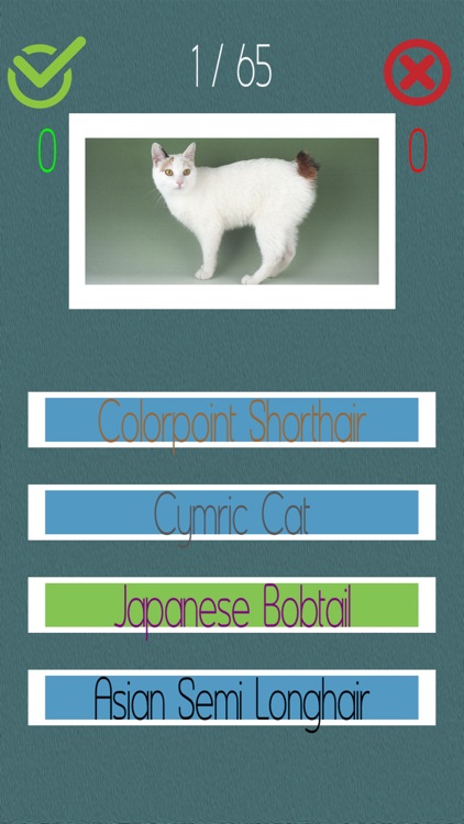 Cat Quiz (60+ Breeds) screenshot-5