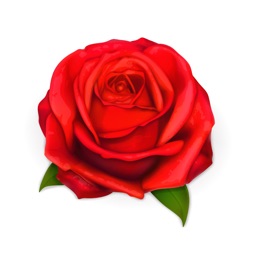 Romantic Roses Sticker Wishes