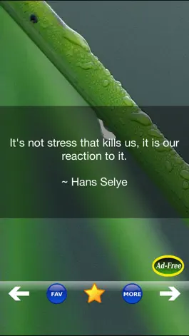 Game screenshot Stress Relief & Management App hack