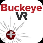 BuckeyeVR Electric Field VR