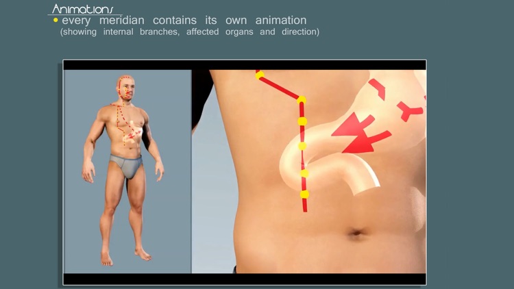 Easy Acupuncture 3D - LITE