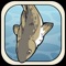 Story of a Fish is a game where you confront the dangers and environmental threats in the Baltic Sea
