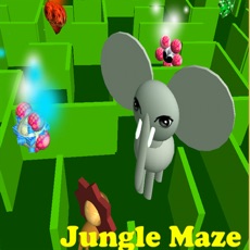 Activities of Jungle Maze