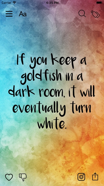 Daily Random Facts