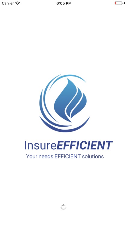 InsureEFFICIENT