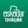 Üsküdar Tavukçuluk