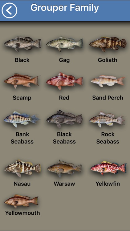 Fish the Gulf screenshot-3