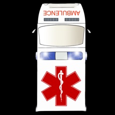 Activities of Ambulance 112 Driver