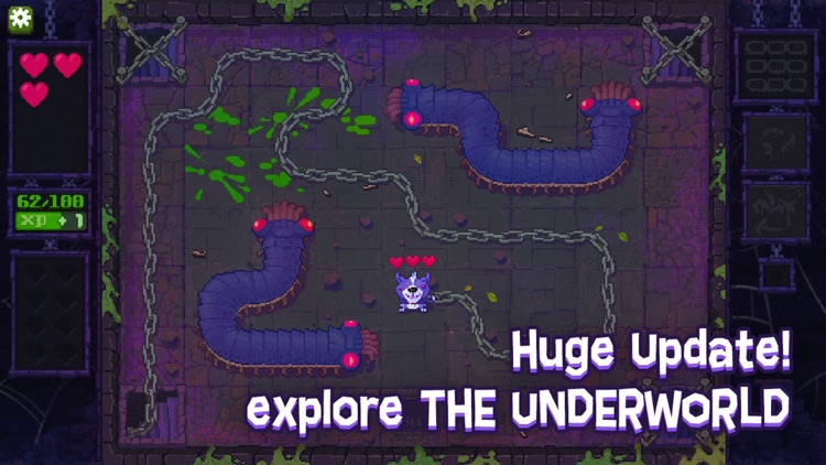 Fidel Dungeon Rescue screenshot-3