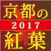 ぶらぶら京都 京都の紅葉-IDEA VILLAGE, INC.