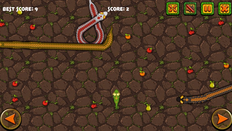 socialgames4u screenshot-5