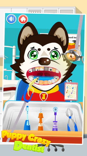 Puppy Crazy Dentist