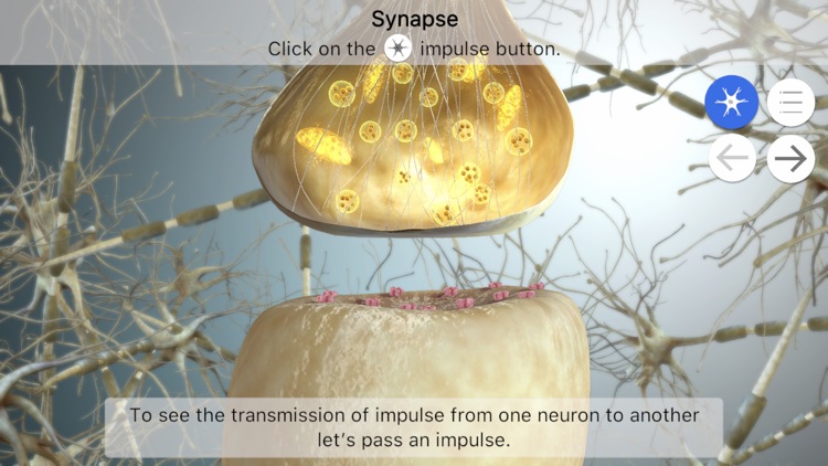 Brainapse screenshot-7