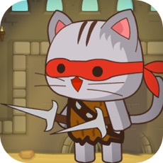 Activities of Cats Fight Arena