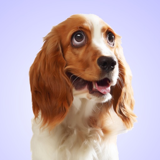 Dog Whining Sounds iOS App