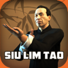 Sakari Games - Ip Man Wing Chun Kung Fu : SLT アートワーク