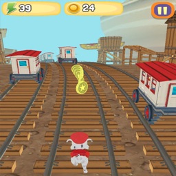 Paw Puppy Subway: Western Dash