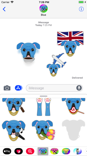 Blue Bling Hip Hop Bulldog(圖3)-速報App