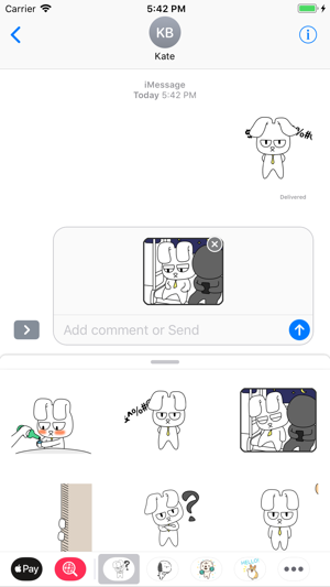 Bunny Bunny Fancy Stickers