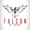 Falcon RC Hobby