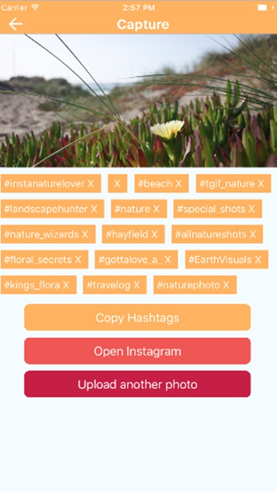 Capture - Hashtag Generator screenshot 3