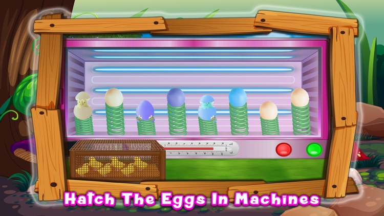 Chicks Poultry Factory screenshot-3