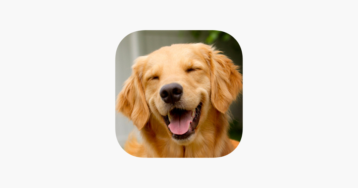 Hund lyd - i App Store