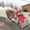 Hill Snow Truck Driver