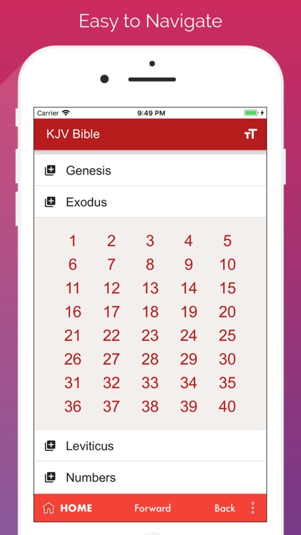 KJV bible : king james version
