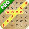 Word Search Words Scramble Pro
