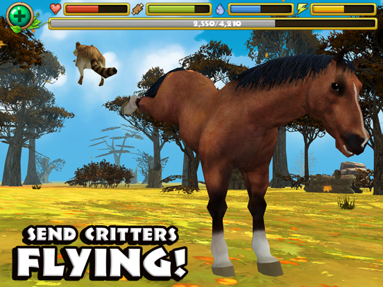 Игра Wild Horse Simulator