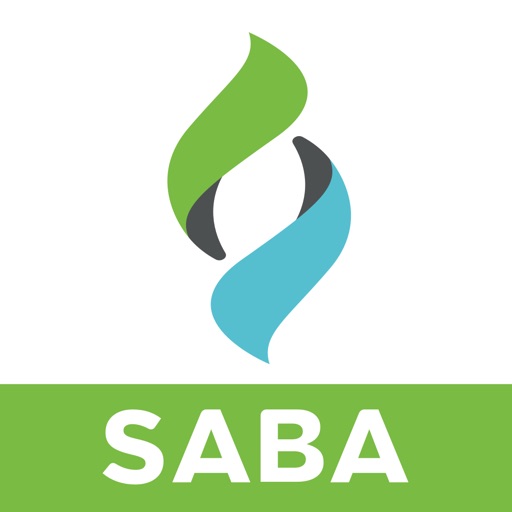 Saba Meeting