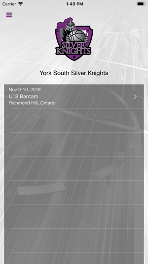 York South Silver Knights