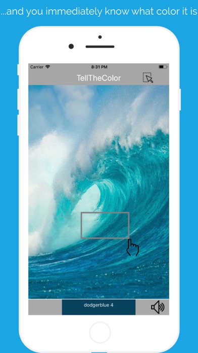 TellTheColor screenshot 2