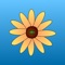 The Gardening Augur looks at the position of objects in the sky to determine what influences there are that may affect your gardening