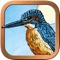 Explore the deep magic of animals with Animal Totem Tarot
