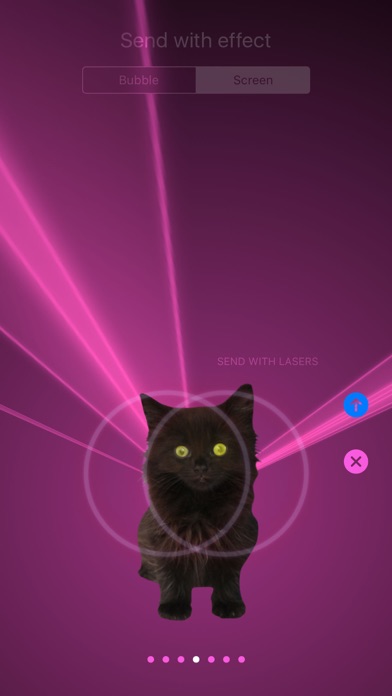 Laser Cats Animated screenshot 4