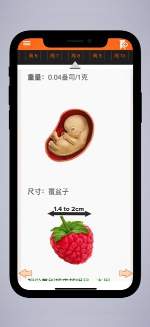 怀孕导师(圖4)-速報App