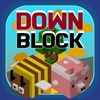 Down Block