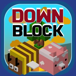 Down Block