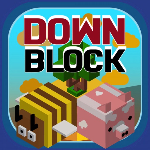 Down Block