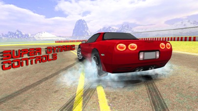 Pro Car Racing- Max Drift Zone screenshot 3