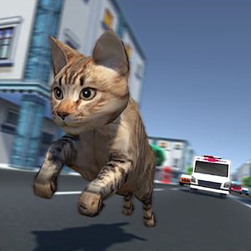 Kitty Cat Rush 3D Game icon