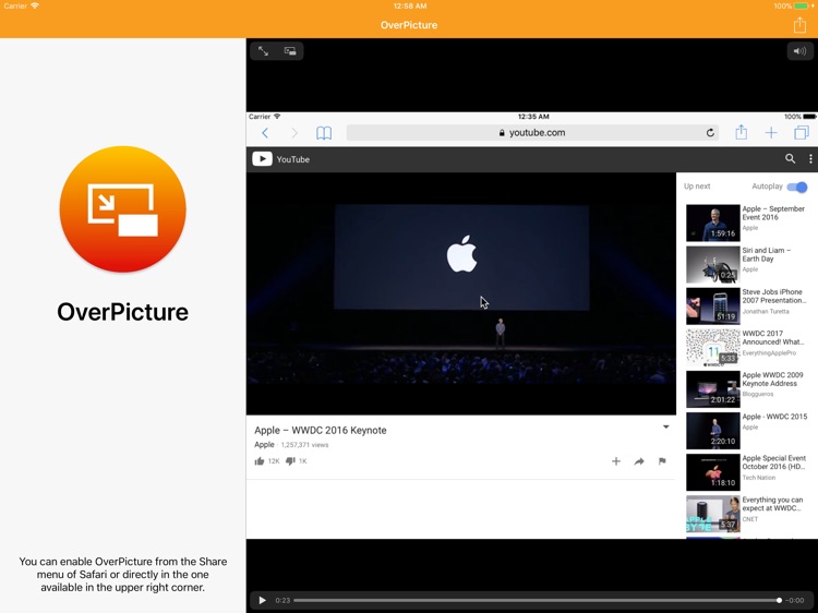 OverPicture for Safari