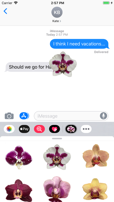 Real Orchid Stickers screenshot 2