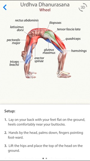 3D Yoga Anatomy Lite(圖1)-速報App