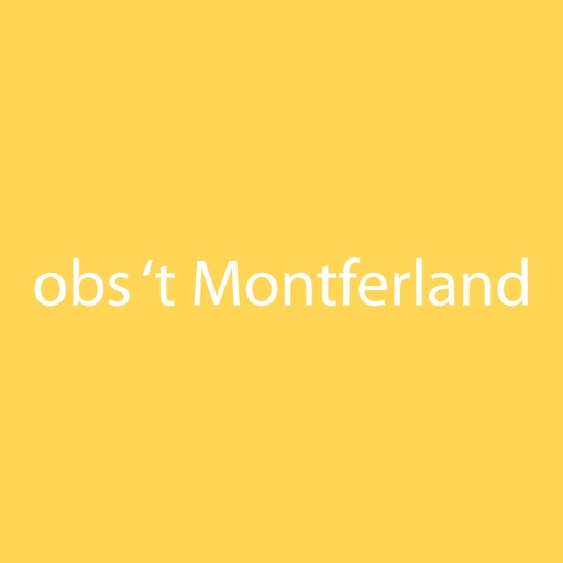 obs 't Montferland icon