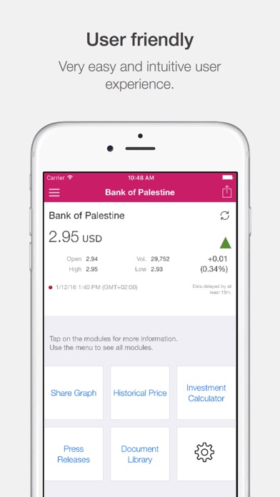Bank of Palestine IR screenshot 2